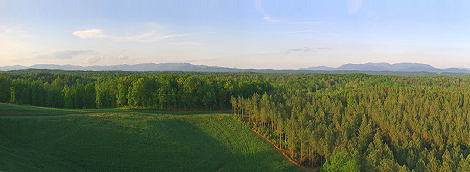 IN THE HEART OF THE NORTH GEORGIA MOUNTAINS